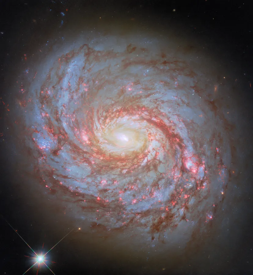 potw2515a